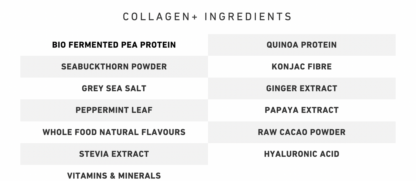 Collagen+ Building Protein Powder - Vanilla (840g)