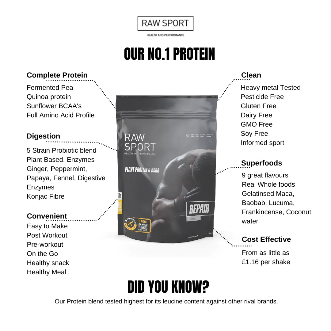 Elite Repair Protein Powder - Chocolate Brownie (1KG)