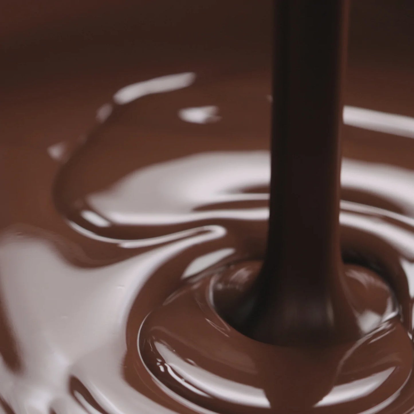 NEW Dark Mint Crisp Chocolate Bar (12x100g)